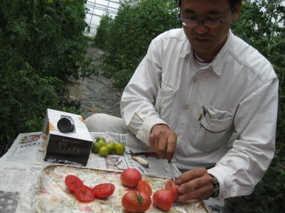 トマトの鈴木さん