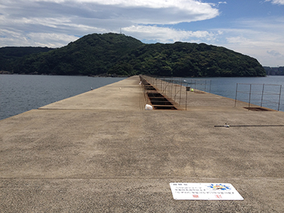 藻島の波止