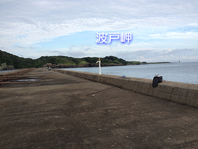 波戸岬 新波止から