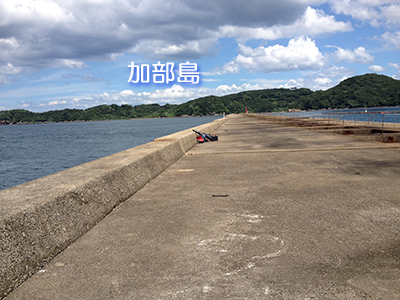 波戸岬 新波止から
