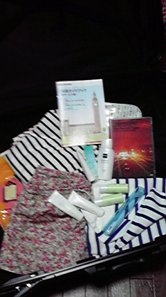 2010051009330000.jpg