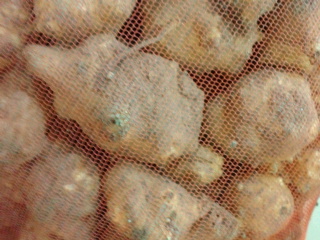 2014022223060000.jpg