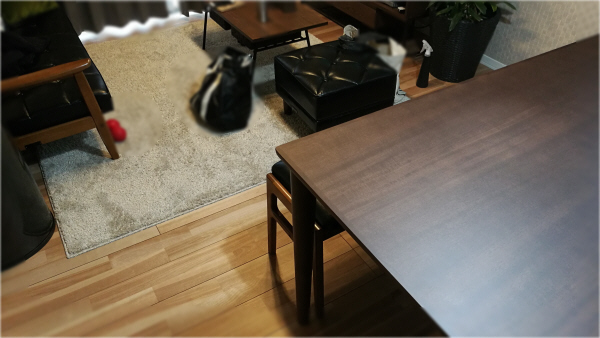 カリモク60との暮らし 納品フォト 234 | southbeam