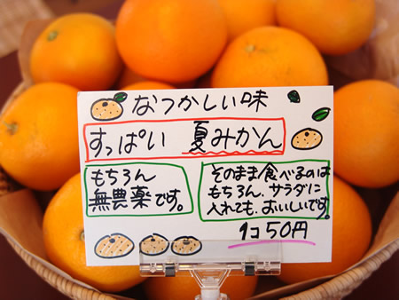 夏みかん
