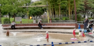 IMG_20190719_183320.jpg