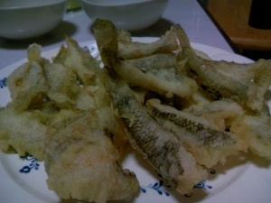 ハゼ釣り