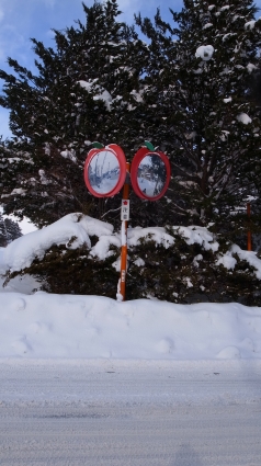 R0016845.JPG