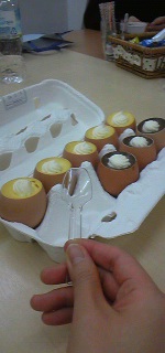 電撃のピロト1.jpg