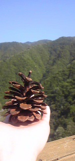 100506_1452371.jpg