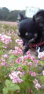111009_1039411.jpg