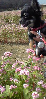 111009_1039041.jpg