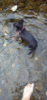 111009_1055181.jpg