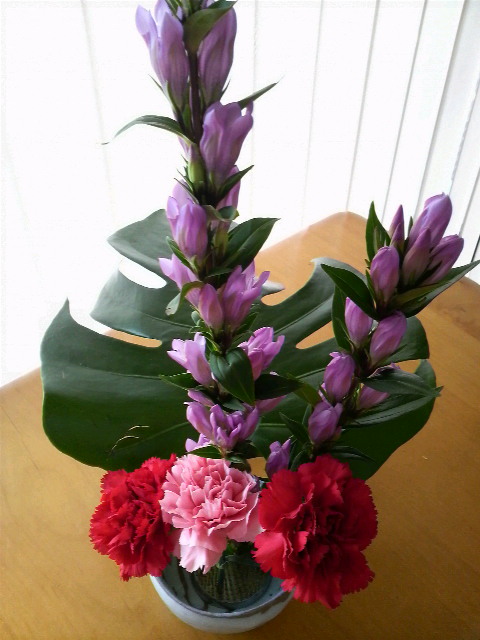 2011020916050000.jpg
