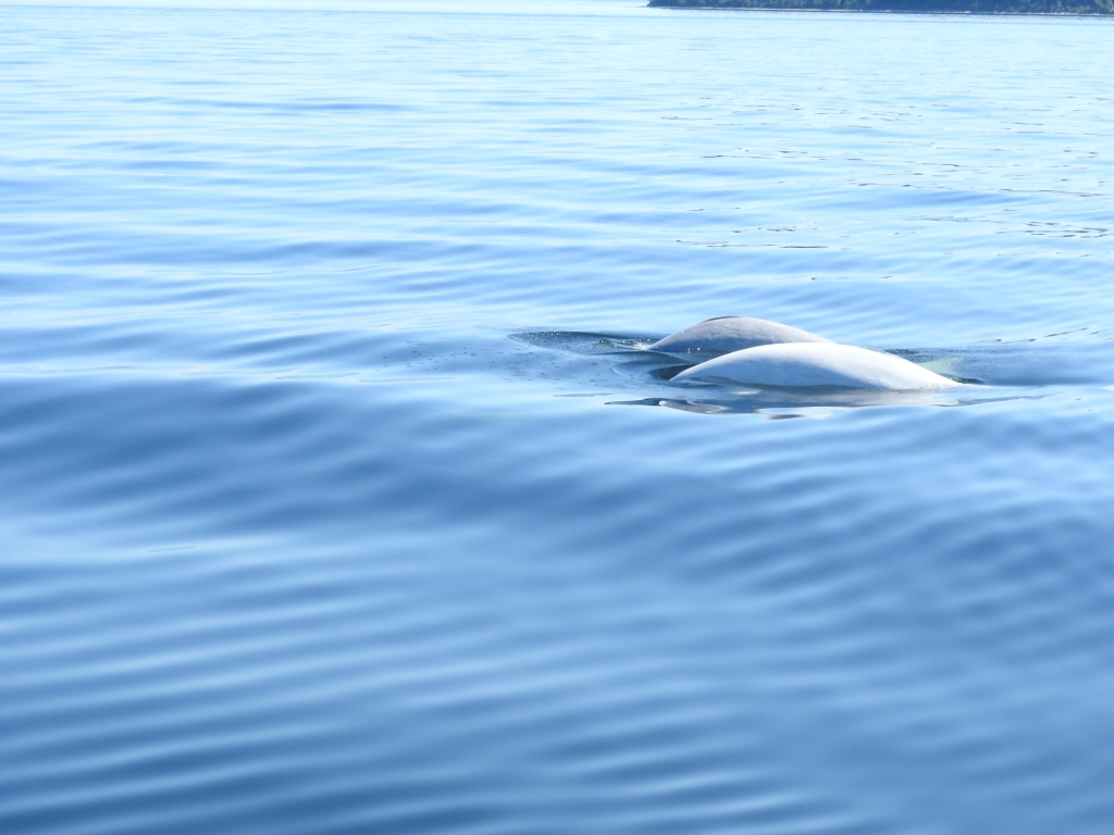 海外旅行　海外生活　一人旅