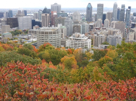 Montreal, モントリオール　紅葉　秋　モンロヤル　Mont Royal