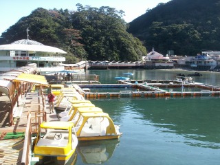 下田海中水族館
