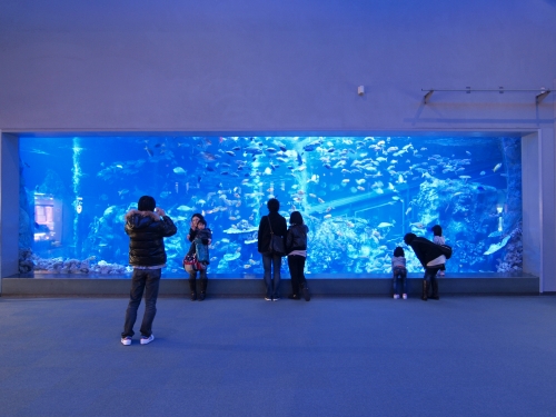 鳥羽水族館