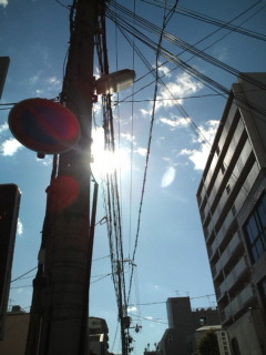 20110131120018.jpg