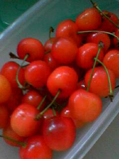 20050715_23876.jpg