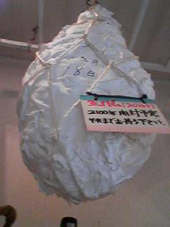 20050820_47664.jpg