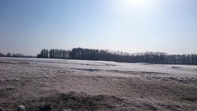 DSC_0086.JPG