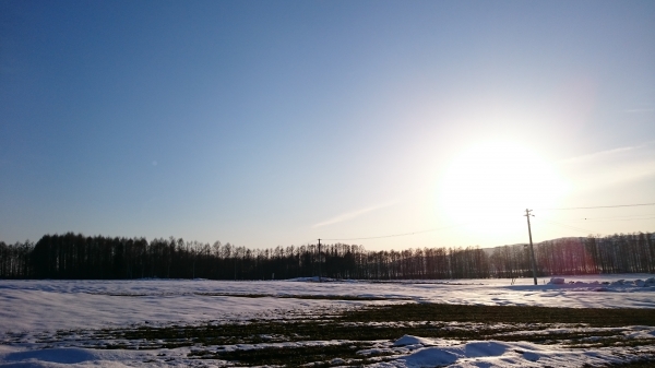 DSC_0126.JPG