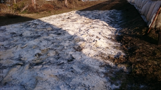 DSC_0603.JPG