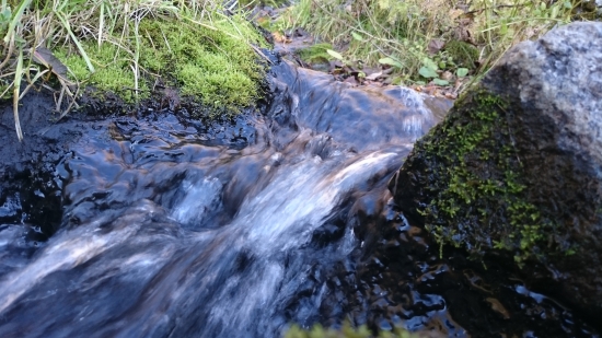 DSC_3641.JPG