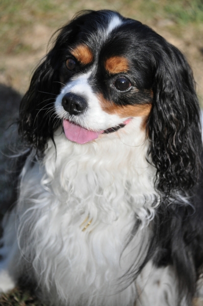 DSC_0606.JPG