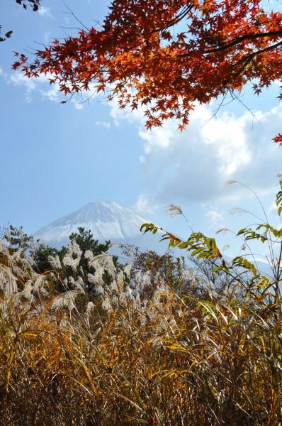 DSC_1034.JPG