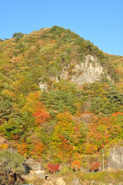 DSC_1098.JPG