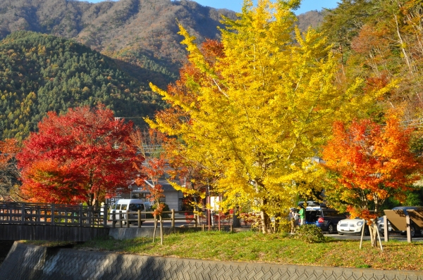 DSC_1099.JPG