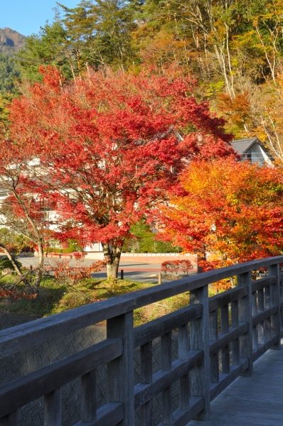 DSC_1100.JPG
