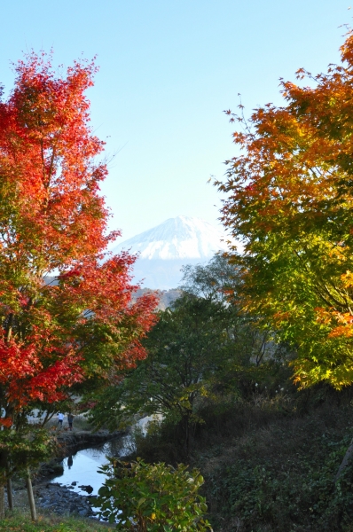 DSC_1102.JPG