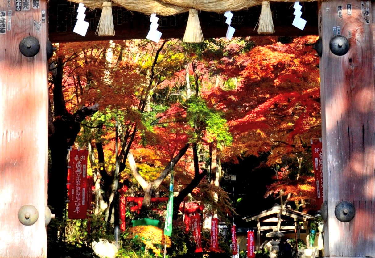 油山寺.JPG