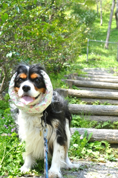 DSC_0612.JPG