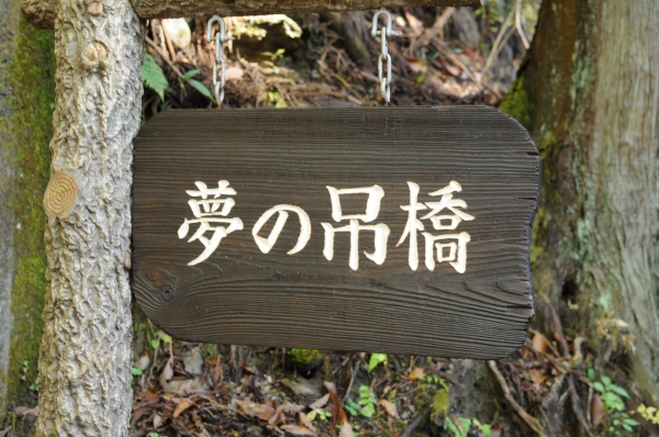 DSC_0101.JPG