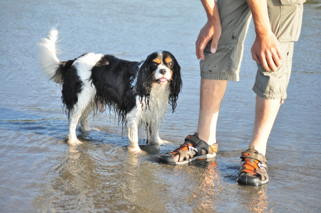 DSC_0364.JPG
