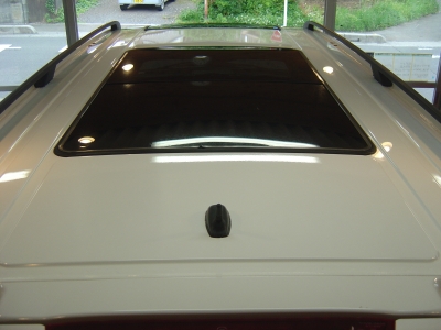 DSC06005.JPG
