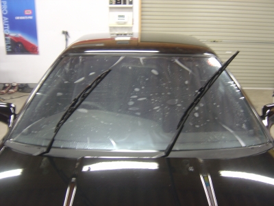 DSC06062.JPG