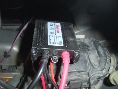 20110323_921275.jpg