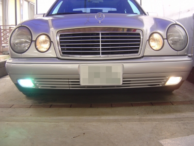 20110323_921276.jpg