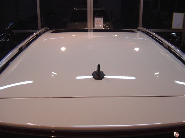 DSC06636.jpg