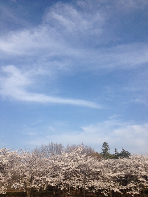 写真 9.jpg
