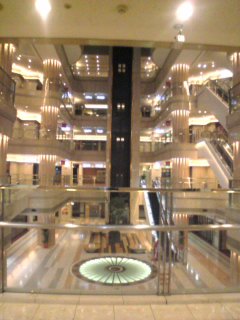 Image8181.jpg