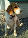 201002211629001.jpg