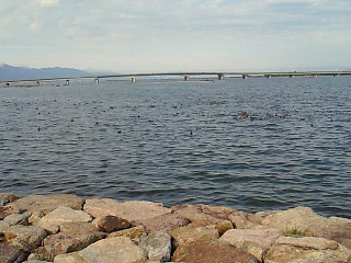 201002271502000.jpg