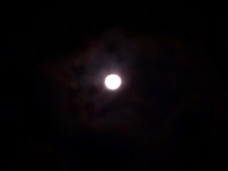 20121030_233035.jpg