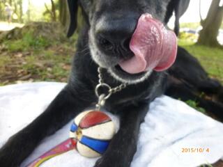 20151006_155436.jpg