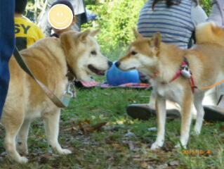 20151007_165943.jpg